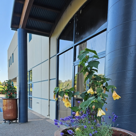 Hello from Consortium! - Picture 4 of 6